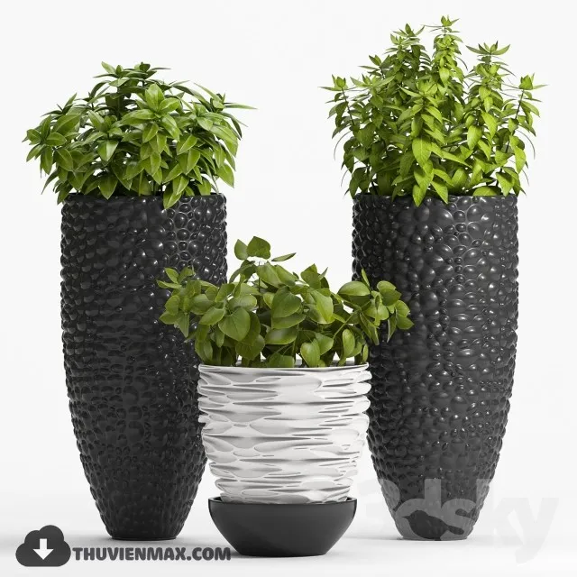 PRO PLANT 3D MODELS – 309