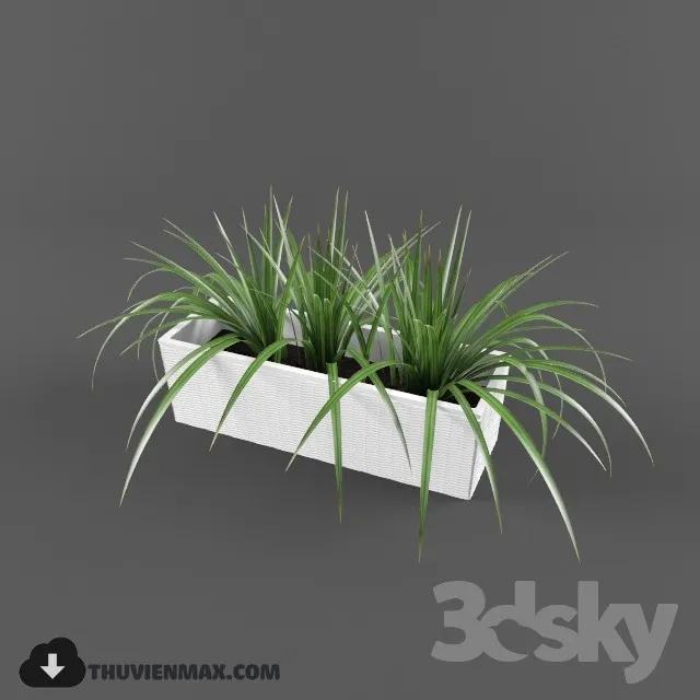 PRO PLANT 3D MODELS – 032