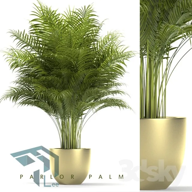 PRO PLANT 3D MODELS – 311