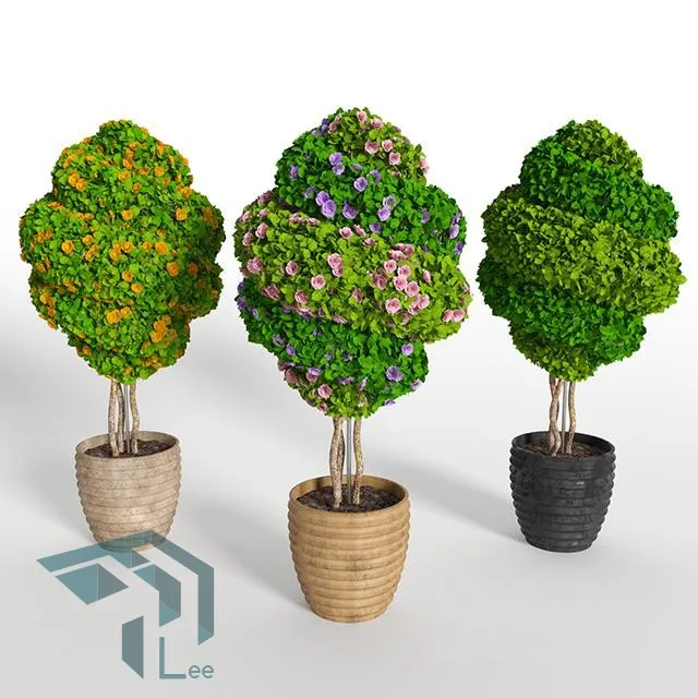 PRO PLANT 3D MODELS – 321