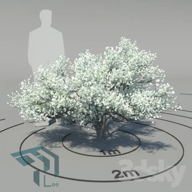 PRO PLANT 3D MODELS – 323
