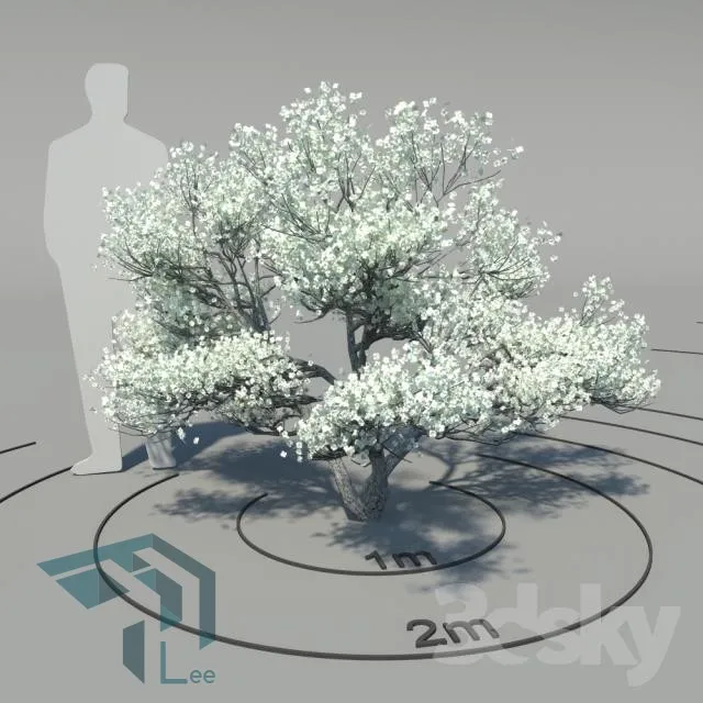 PRO PLANT 3D MODELS – 324