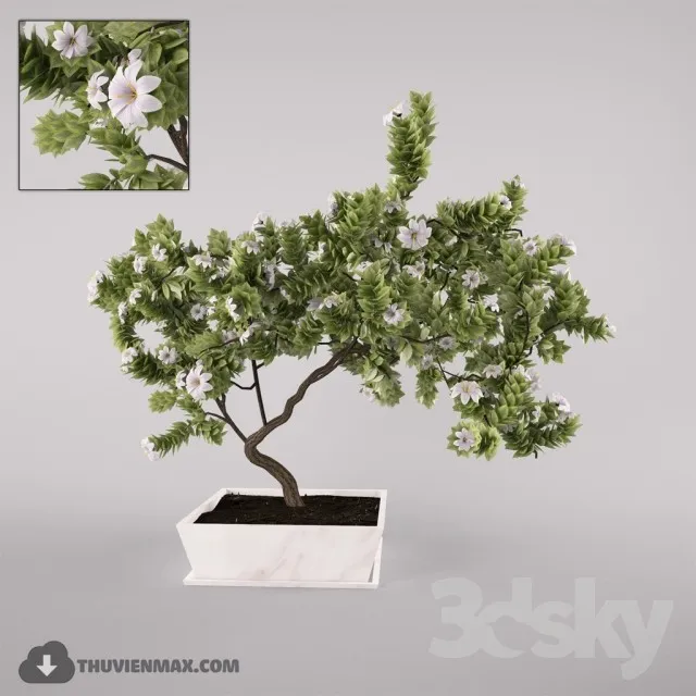 PRO PLANT 3D MODELS – 331