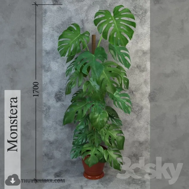 PRO PLANT 3D MODELS – 333