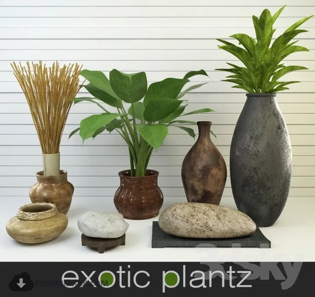 PRO PLANT 3D MODELS – 336