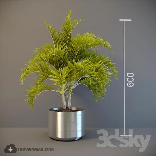 PRO PLANT 3D MODELS – 338