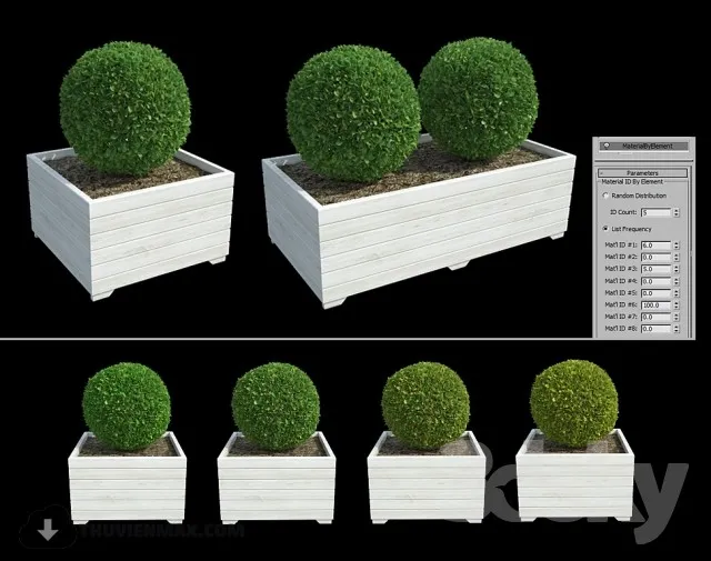 PRO PLANT 3D MODELS – 343