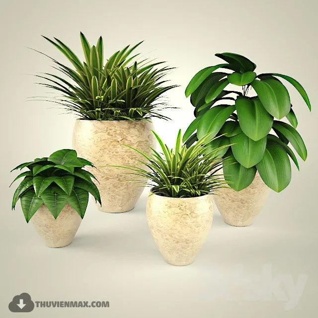 PRO PLANT 3D MODELS – 344