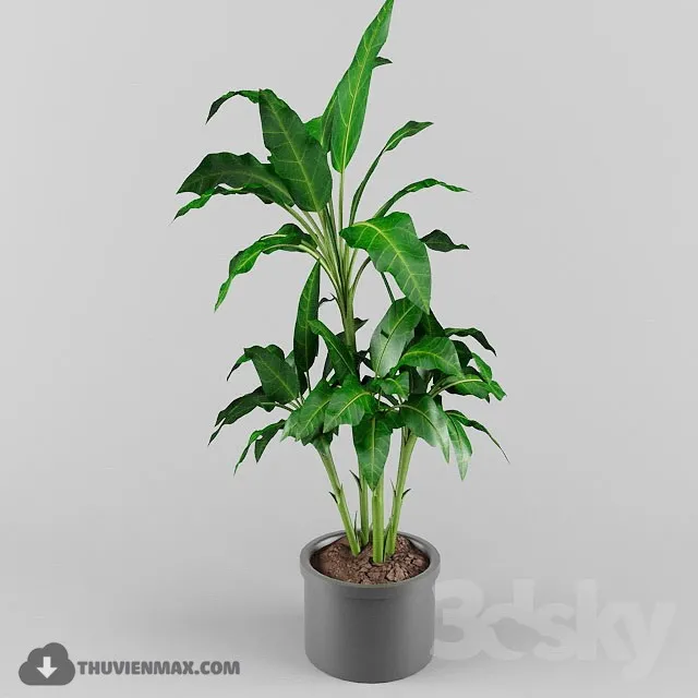 PRO PLANT 3D MODELS – 348