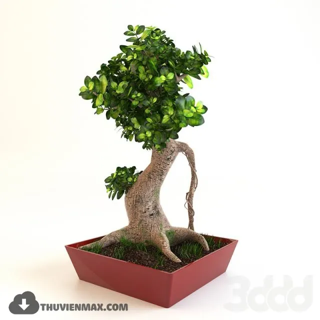 PRO PLANT 3D MODELS – 350