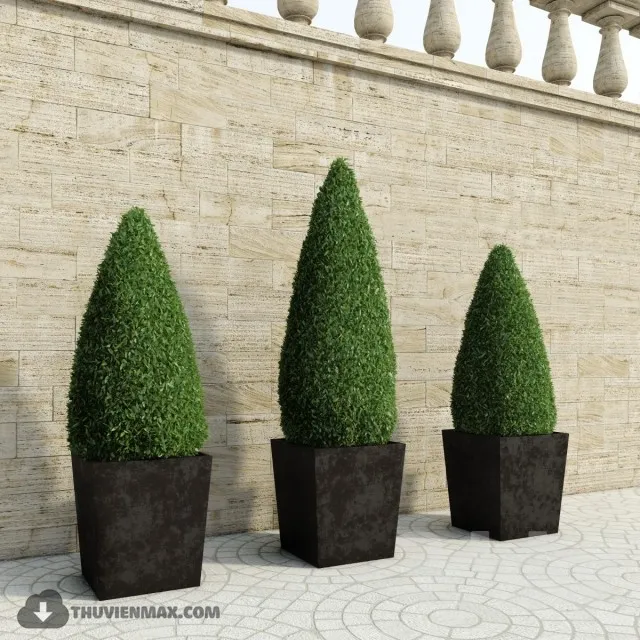 PRO PLANT 3D MODELS – 358