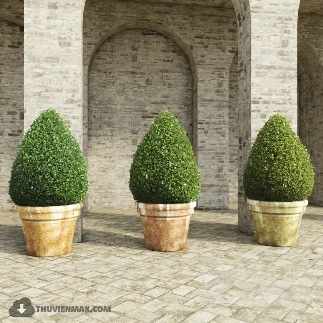 PRO PLANT 3D MODELS – 359