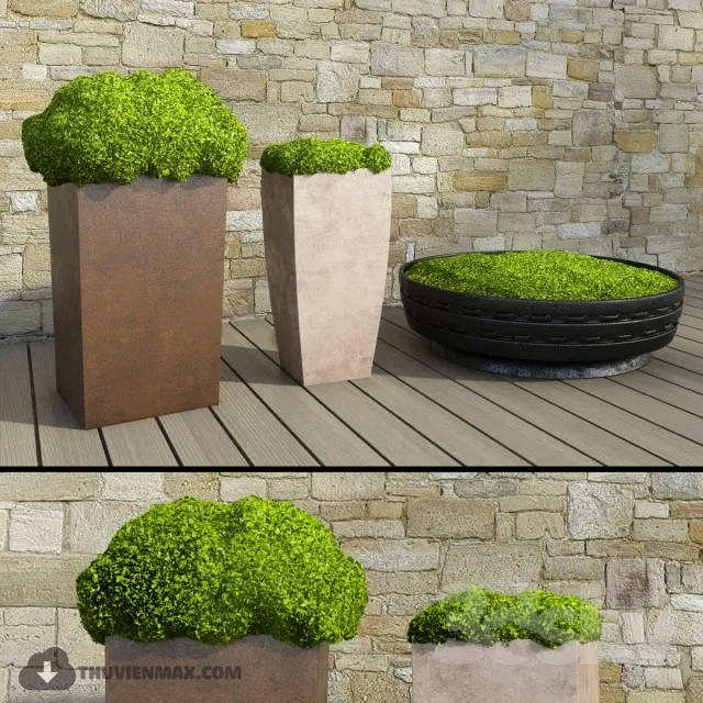 PRO PLANT 3D MODELS – 360