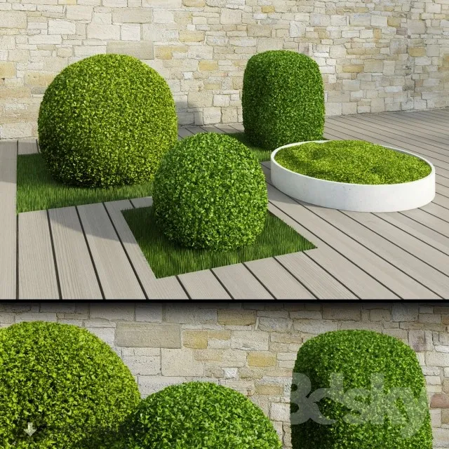 PRO PLANT 3D MODELS – 361