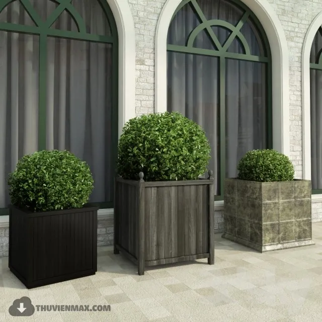 PRO PLANT 3D MODELS – 362