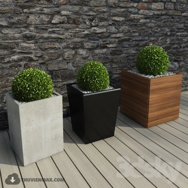 PRO PLANT 3D MODELS – 364