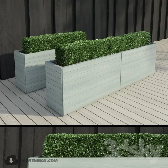 PRO PLANT 3D MODELS – 367