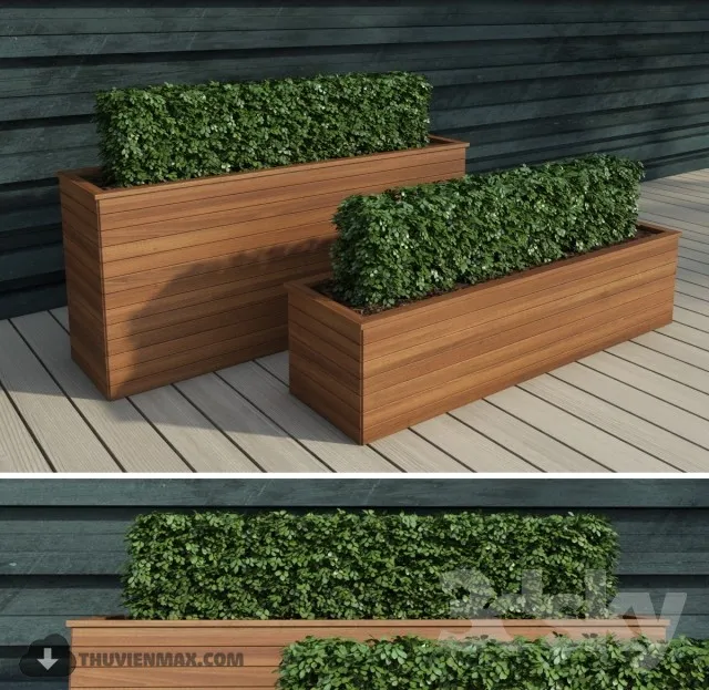 PRO PLANT 3D MODELS – 368