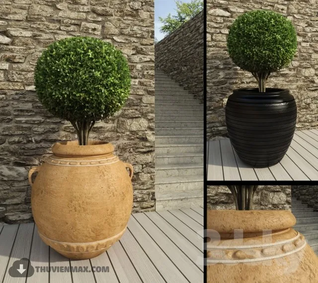 PRO PLANT 3D MODELS – 369