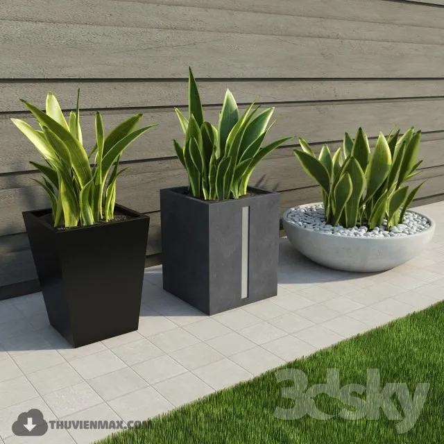 PRO PLANT 3D MODELS – 373