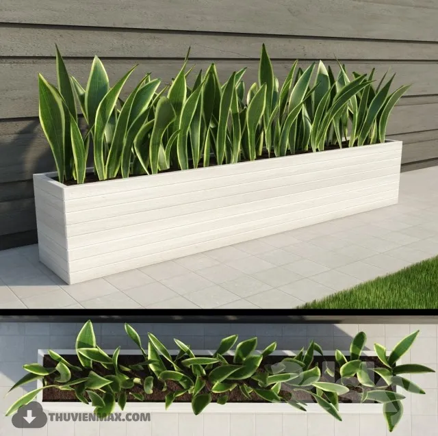 PRO PLANT 3D MODELS – 376