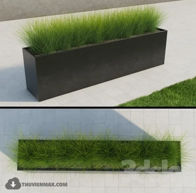 PRO PLANT 3D MODELS – 377