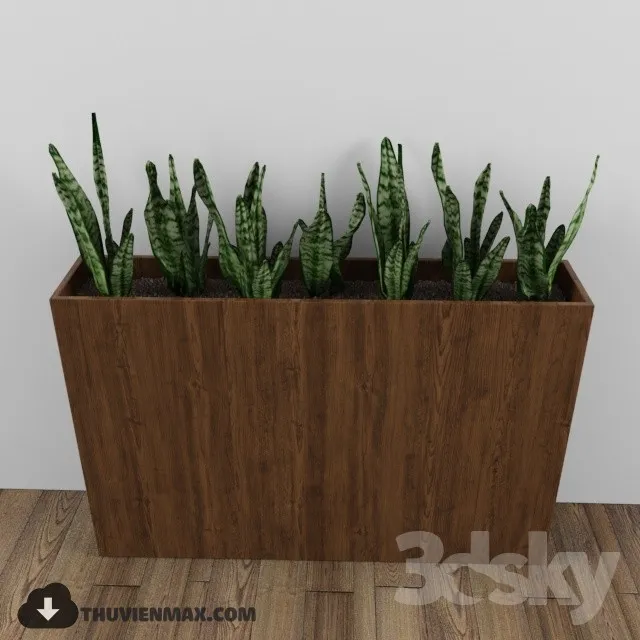 PRO PLANT 3D MODELS – 039