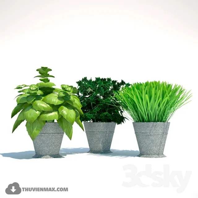 PRO PLANT 3D MODELS – 384