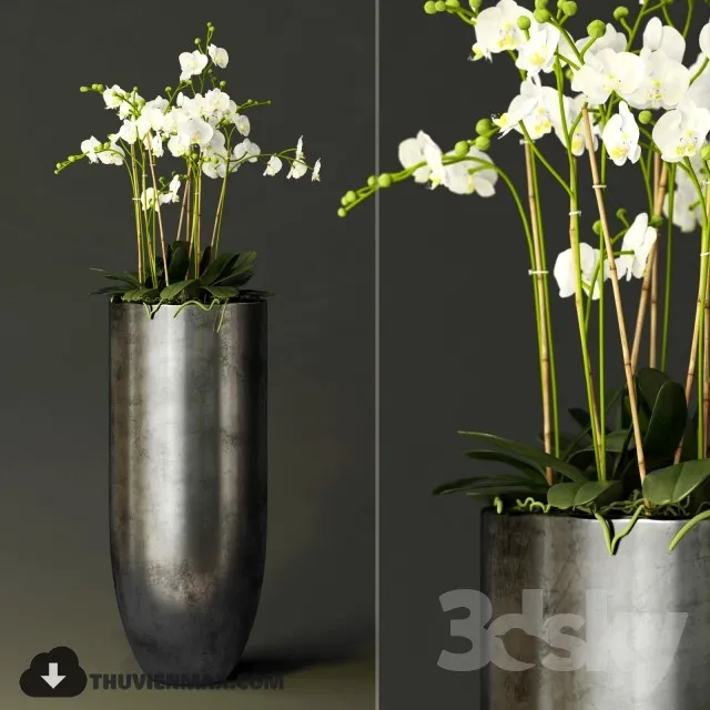 PRO PLANT 3D MODELS – 386