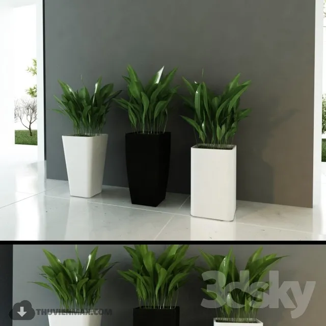 PRO PLANT 3D MODELS – 388