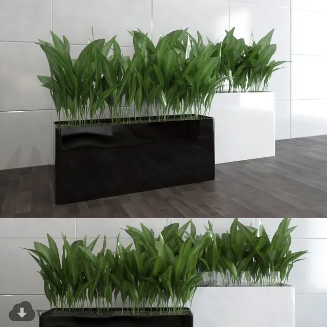 PRO PLANT 3D MODELS – 389
