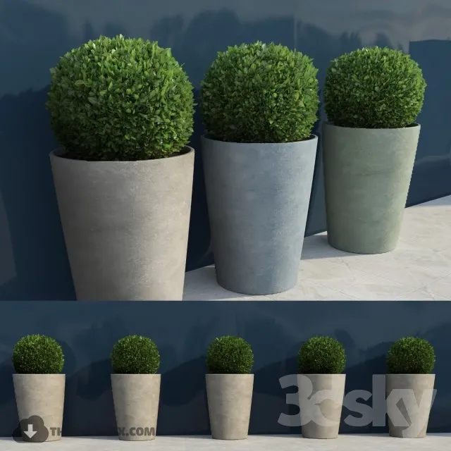 PRO PLANT 3D MODELS – 390