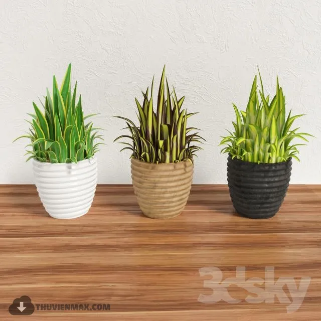 PRO PLANT 3D MODELS – 391