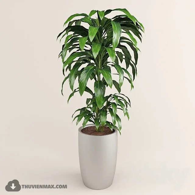 PRO PLANT 3D MODELS – 396
