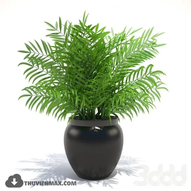 PRO PLANT 3D MODELS – 398