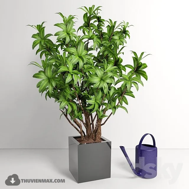 PRO PLANT 3D MODELS – 399