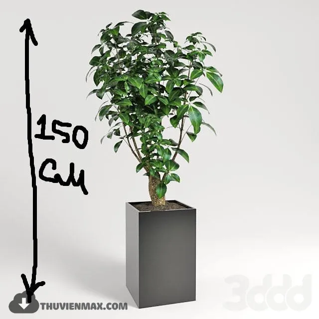 PRO PLANT 3D MODELS – 401