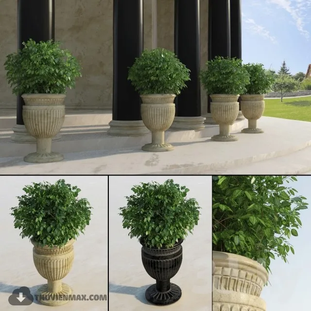 PRO PLANT 3D MODELS – 405