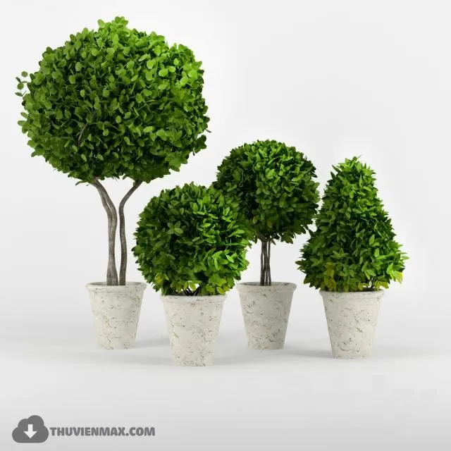 PRO PLANT 3D MODELS – 409
