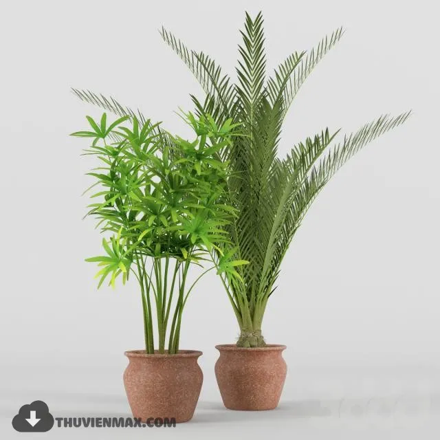 PRO PLANT 3D MODELS – 412