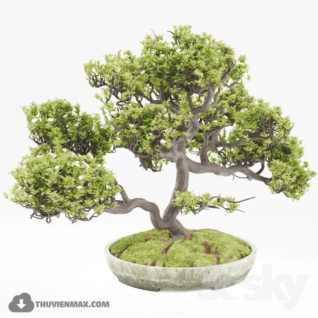 PRO PLANT 3D MODELS – 413