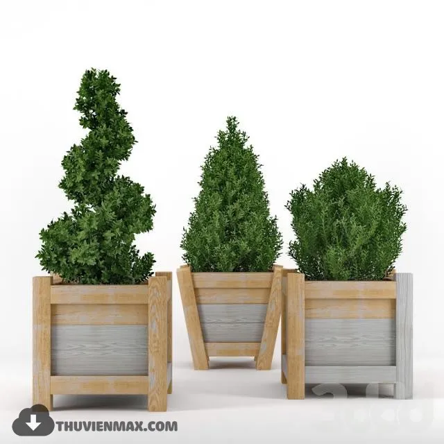 PRO PLANT 3D MODELS – 414