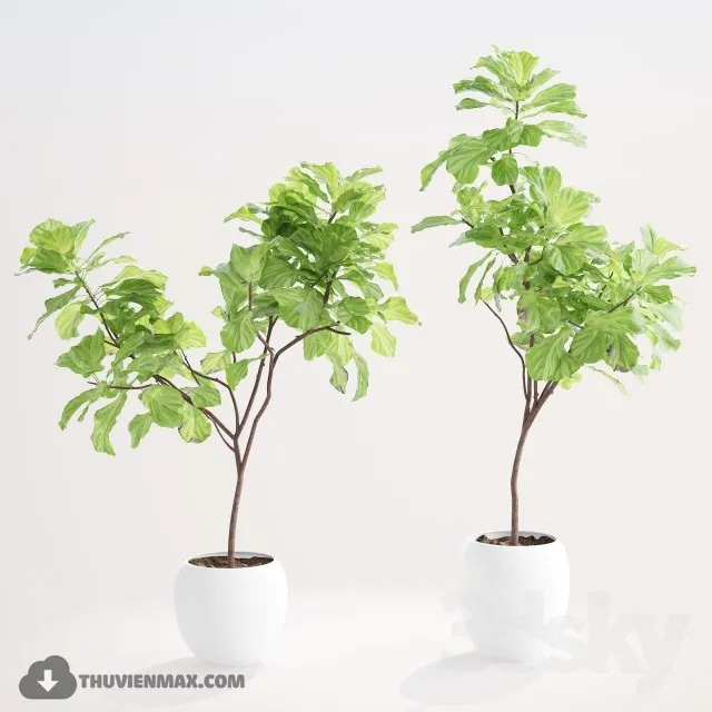 PRO PLANT 3D MODELS – 415