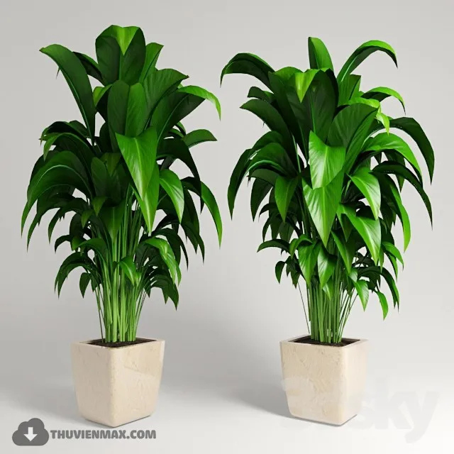 PRO PLANT 3D MODELS – 416