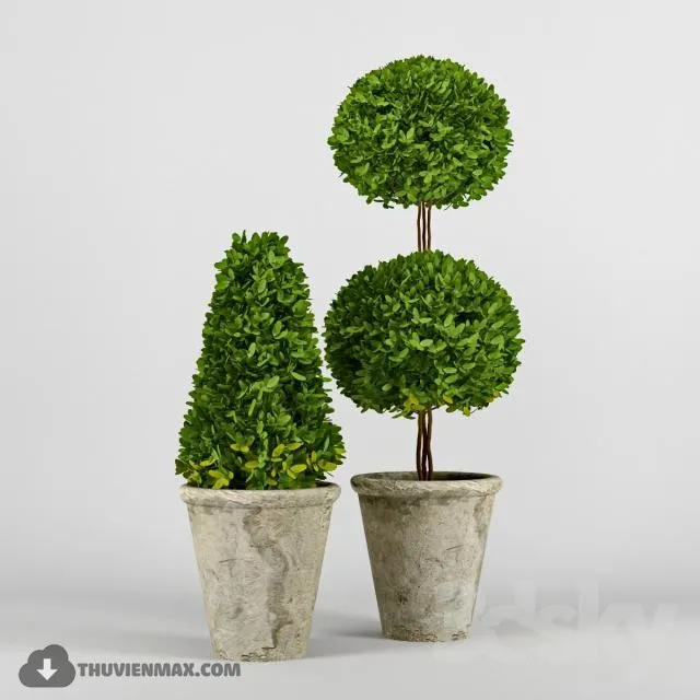 PRO PLANT 3D MODELS – 417