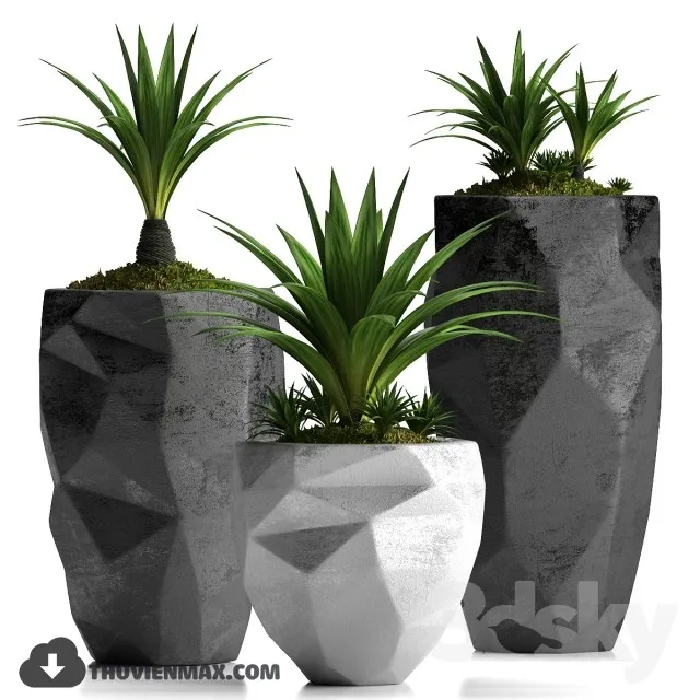 PRO PLANT 3D MODELS – 419