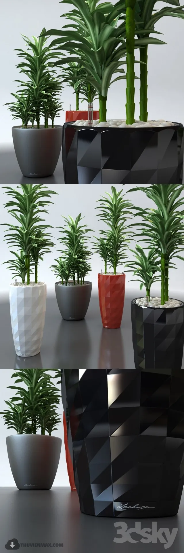 PRO PLANT 3D MODELS – 420