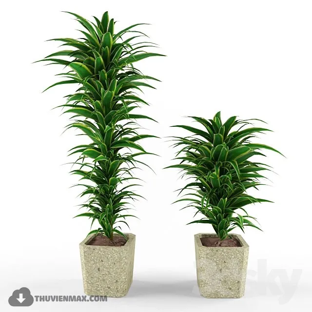 PRO PLANT 3D MODELS – 421