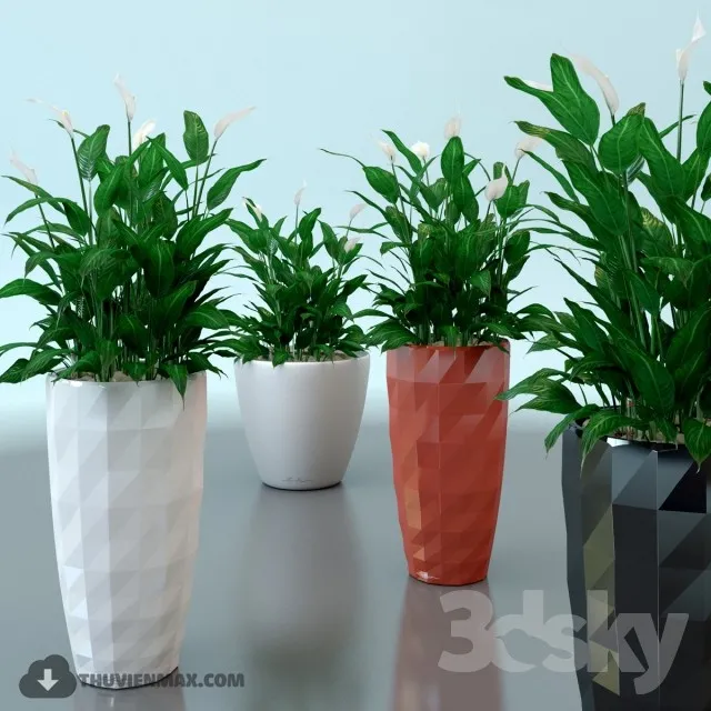 PRO PLANT 3D MODELS – 422