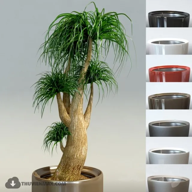 PRO PLANT 3D MODELS – 424